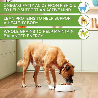Nutrish Rachael Ray Chunks in Gravy Wet Dog Food Real Chicken & Veggies Recipe, 13 Ounce (Pack of 12)