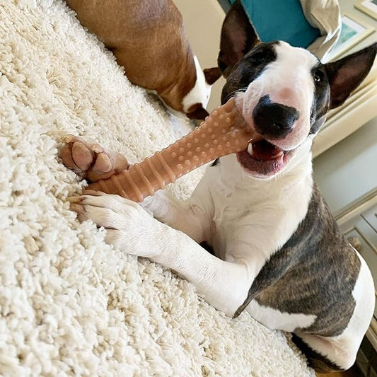 Nylabone Power Chew Textured Femur Bone Chew Toy for Dog, Indestructible Dog Toys for Aggressive Chewers Large Breed, Bacon Flavor, X-Large/Souper (1 Count)