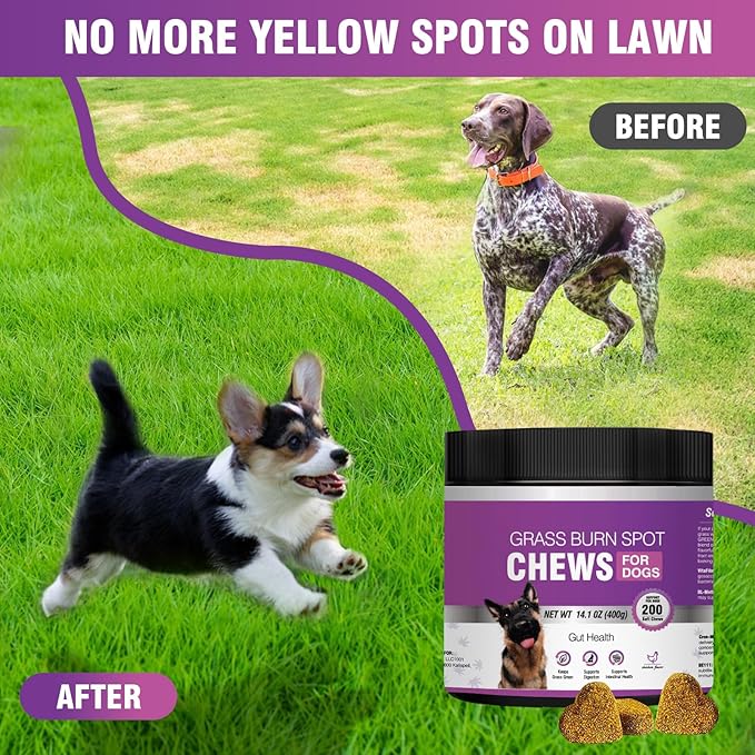 Grass Burn Spot Chews for Dogs Dog Pee Grass Neutralizer 200 Green Grass Dog Chews Dog Pee Lawn Spot Saver for Grass Burn Spots Dog Urine Neutralizer for Lawns with Probiotics Digestive Enzymes