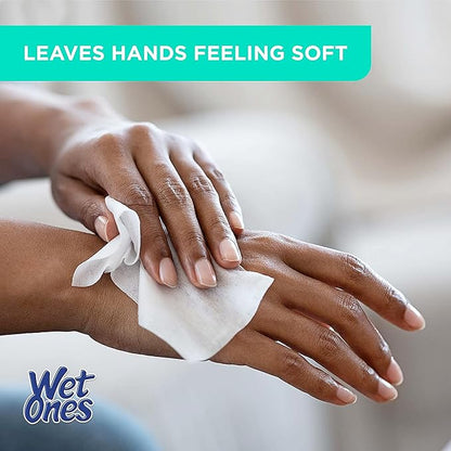 Wet Ones Mixed 13 Piece Bundle of Human & Pet Wet Wipes, Hypoallergenic | 10 Packs Sensitive Skin Hand and Face Wipes, 20 Ct Plus 3 Packs for Pets Hypoallergenic Dog Wipes, 100ct
