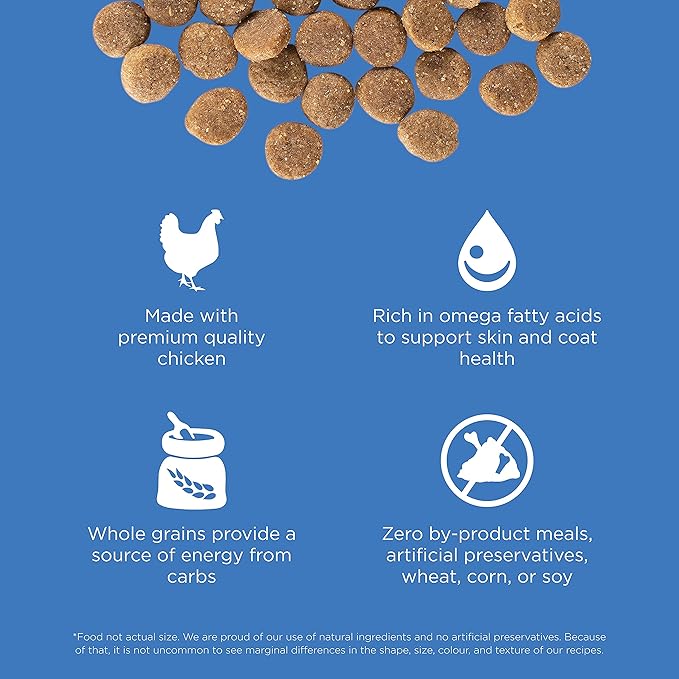 GO! SOLUTIONS Skin + Coat Care - Dry Dog Food, 3.5 lb - Chicken Recipe with Grains for All Life Stages - Complete + Balanced Nutrition for Dogs