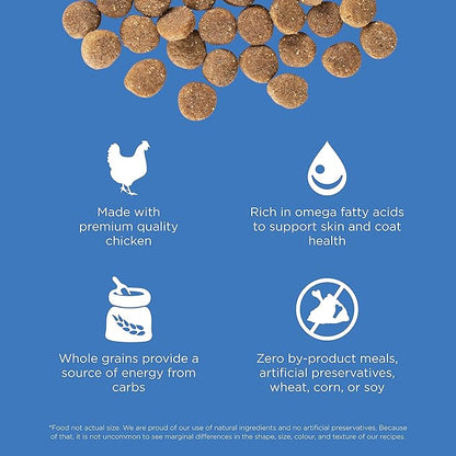 GO! SOLUTIONS Skin + Coat Care - Dry Dog Food, 3.5 lb - Chicken Recipe with Grains for All Life Stages - Complete + Balanced Nutrition for Dogs