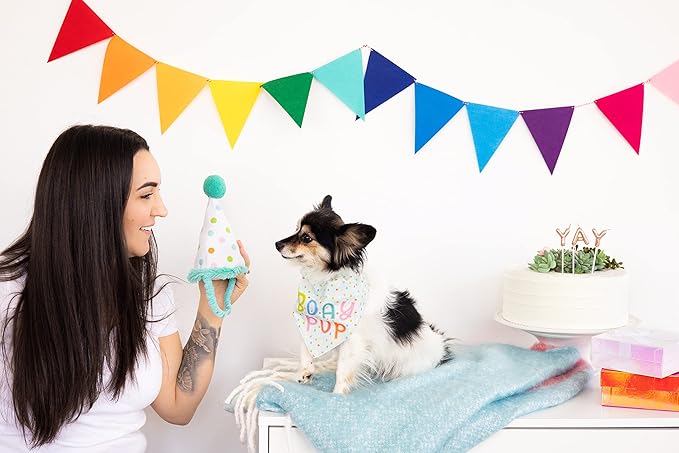 Pearhead Birthday Pup S/M Bandana Hat Set, Pet Birthday Gift, Dog Birthday Party Accessories, Party Hat and Bandana for Dogs, Pet Owner Must Have Accessories, Small/Medium