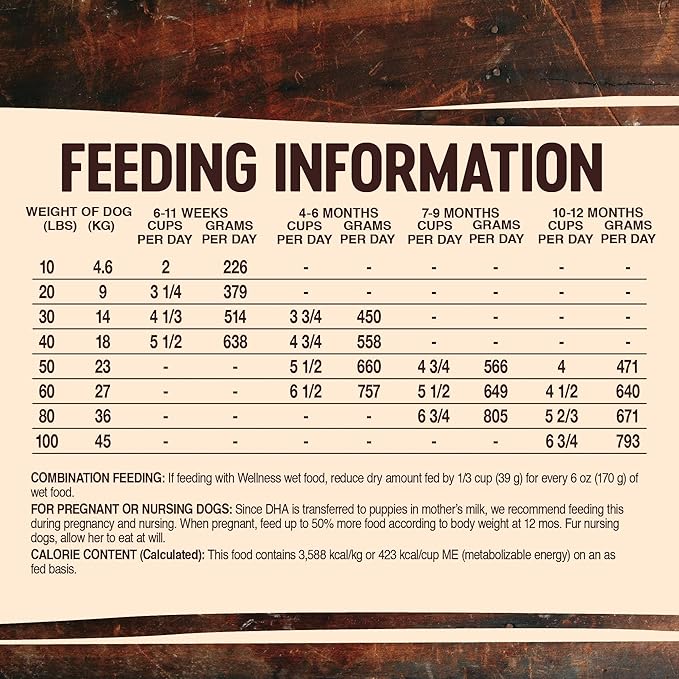 Wellness Natural Pet Food Wellness CORE Grain-Free High-Protein Large Breed Dry Dog Food, Natural Ingredients, Made in USA with Real Chicken (Puppy, 24-Pound Bag)