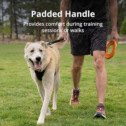 Ruffwear, Front Range Short Traffic Leash with Padded Handle, 15-inch (38cm) Durable Short Dog Lead for Training and Walking, Basalt Gray
