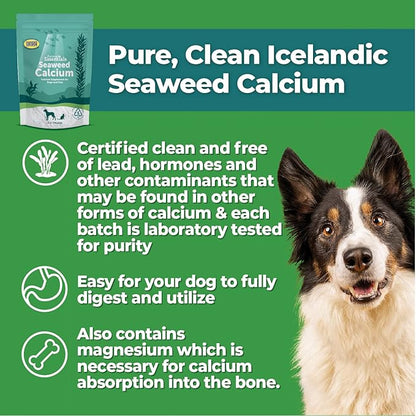 Animal Essentials Seaweed Calcium Supplement for Dogs & Cats, 12 oz (2-Pack), Iceland Seaweed Magnesium, Boron, Zinc