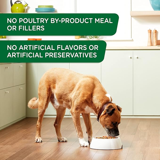 Rachael Ray Nutrish Premium Pate Wet Dog Food, Chicken & Apple, 13 Ounce Can (Pack of 12)