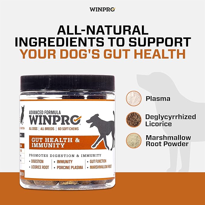 WINPRO | Dog Gut Health Supplement, Plasma-Powered Chews for Digestive Health, Fast Acting Immune Support in Dogs of All Breeds and Sizes, 60 Count, Made in USA