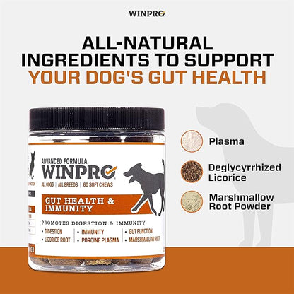 WINPRO | Dog Gut Health Supplement, Plasma-Powered Chews for Digestive Health, Fast Acting Immune Support in Dogs of All Breeds and Sizes, 60 Count, Made in USA