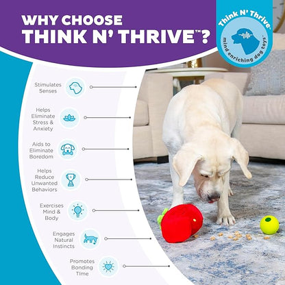 Outward Hound Nina Ottosson Fruity Findz Interactive Plush Dog Puzzle with Treat Ball Dog Enrichment Toys, Plush, Red