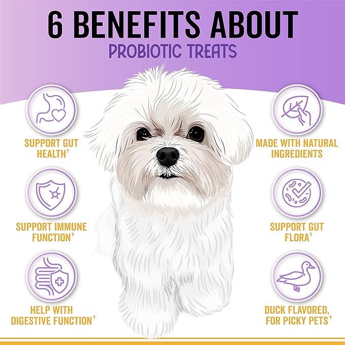 Probiotic Chews for Dogs - Soft Chews with Pumpkin, Papaya and Dog Probiotics for Gut Health Support - Support Digestion and Immunity - 180 Probiotic Chews for Dog Digestive Support