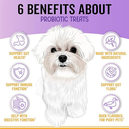 Probiotic Chews for Dogs - Soft Chews with Pumpkin, Papaya and Dog Probiotics for Gut Health Support - Support Digestion and Immunity - 180 Probiotic Chews for Dog Digestive Support