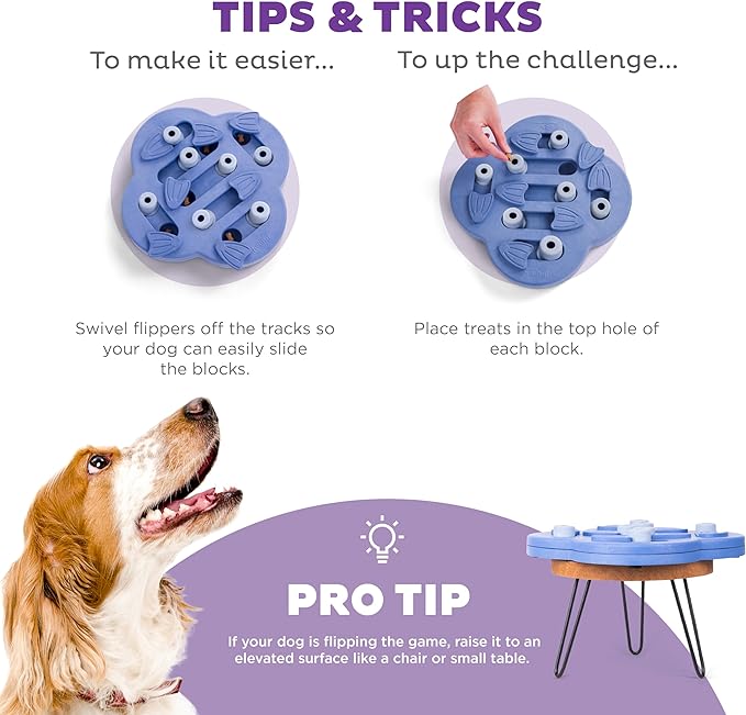 Outward Hound Nina Ottosson Dog Hide N' Slide Dog Puzzle Interactive Treat Puzzle Dog Enrichment Dog Toy, Level 2 Intermediate, Purple, Composite