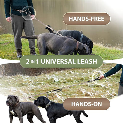 SparklyPets Hands Free Double Dog Leash – Dual Dog Leash for Medium and Large Dogs – Dog Leash for 2 Dogs with Padded Handles, Reflective Stitches, No Pull, Tangle Free (Brown, for 2 Dogs)