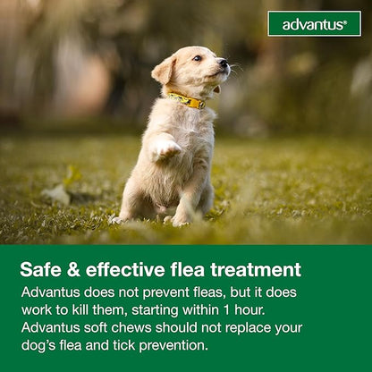 Dog Advantus Chewable Flea Treatment for Dogs 4 - 22 lbs. | 30 ct.