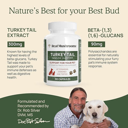 Turkey Tail Pet Support - Dog Multivitamins and Supplements for Immune Support, Gut Health & Wellness - Grain-Free, Gluten-Free, Vet-Approved Dog Supplement (90ct)