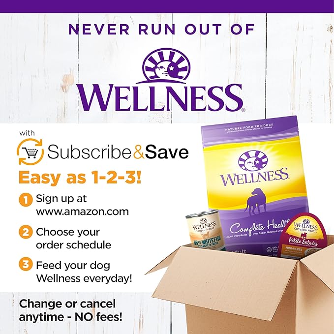 Wellness Complete Health Large Breed Dry Dog Puppy Food with Grains, Natural Ingredients, Made in USA with Real Meat (Puppy, Chicken, Salmon & Rice, 30-Pound Bag)