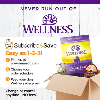 Wellness Complete Health Large Breed Dry Dog Puppy Food with Grains, Natural Ingredients, Made in USA with Real Meat (Puppy, Chicken, Salmon & Rice, 30-Pound Bag)