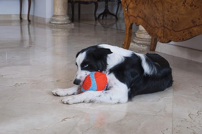 Chuckit! Indoor Fetch Fumbler Dog Toy (9.5 Inch), Orange and Blue
