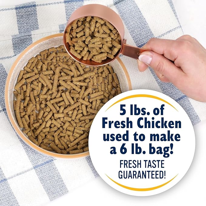 Bil-Jac Puppy Food 6lb (2-Pack) Dry Dog Food Puppy Select Formula - Real Chicken 1st Ingredient, Easy to Chew Bites, Small Breed or Large Breed - Super Premium Since 1947