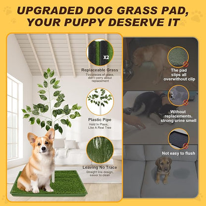 Dog Grass Pad with Tray - 2 Pack Replaceable Artificial Grass Puppy Training Pad(No Clips), Quick Absorbent Indoor Portable Potty, Washable Pee Pad for Puppy - Pet Training Solution Green