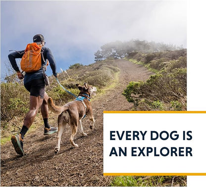 Ruffwear, Hi & Light, Everyday Lightweight Dog Harness, Trail Running, Walking, Hiking, All-Day Wear, Blue Dusk, XX-Small