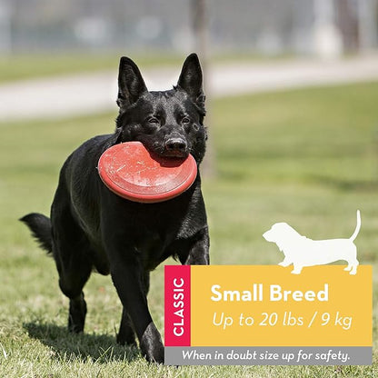 KONG Flyer - Durable Dog Toy for Outdoor Playtime - Natural Rubber Flying Disc, Dog Toy for Fetch - Safer Disc for Healthy Activity - for Small Dogs