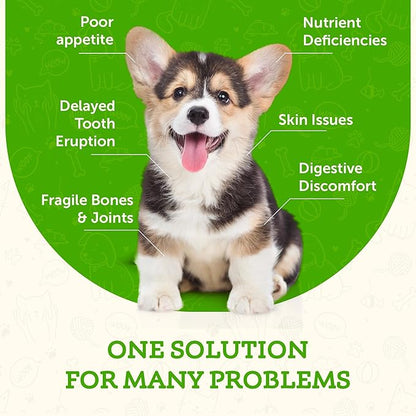Animal Essentials Seaweed Calcium - Supplement for Dogs and Cats, High Digestibility, Pure Clean Icelandic Seaweed Calcium, Free of Lead and Hormones, Lab Tested, Magnesium - 12 Oz (Pack of 1)