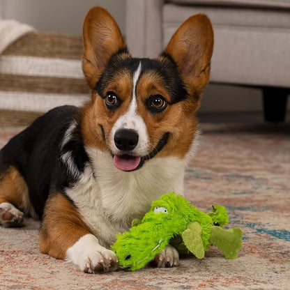 goDog PlayClean Gator Squeaky Plush Dog Toy with Odor-Eliminating Essential Oils, Chew Guard Technology - Green, Small