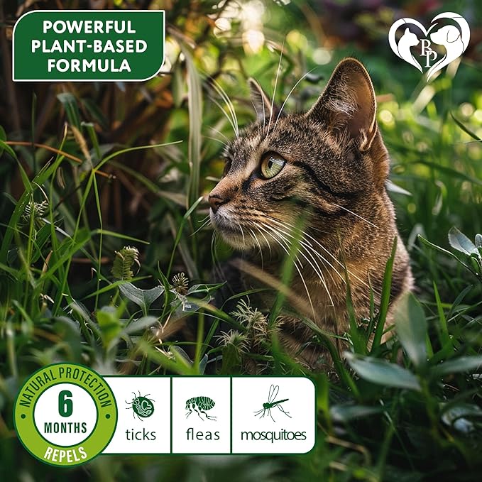 Natural Flea & Tick Collar for Cats - 12 Months Control of Best Prevention & Safe Treatment - Anti Fleas and Ticks Essential Oil Repellent (1 pack)