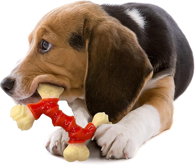 Nylabone Power Chew Double Bone Long Lasting Chew Toy for Dogs Medium - Up to 35 lbs.