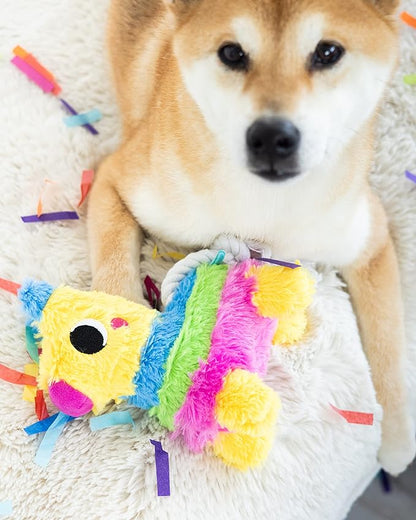 Pearhead Puppy Pinata Dog Toy, Rope Tug Toy for Dogs, Colorful Interactive Dog Toys, Party Pinata Toy for Dogs, Plush Chew Toy, Pet Owner Must Have Toy