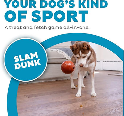 Outward Hound Sport Ballz Basketball Durable Treat-Dispensing Fetch Ball Dog Toy