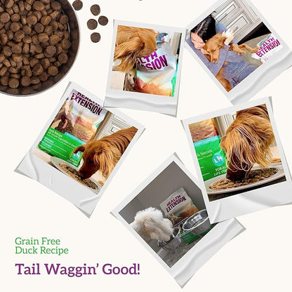 Health Extension Dry Dog Food, Natural Food with added Vitamins & Minerals, Suitable for All Puppies, Include Duck & Sweet Potato Recipe with Whole Vegetable & Berries (10 Pound)