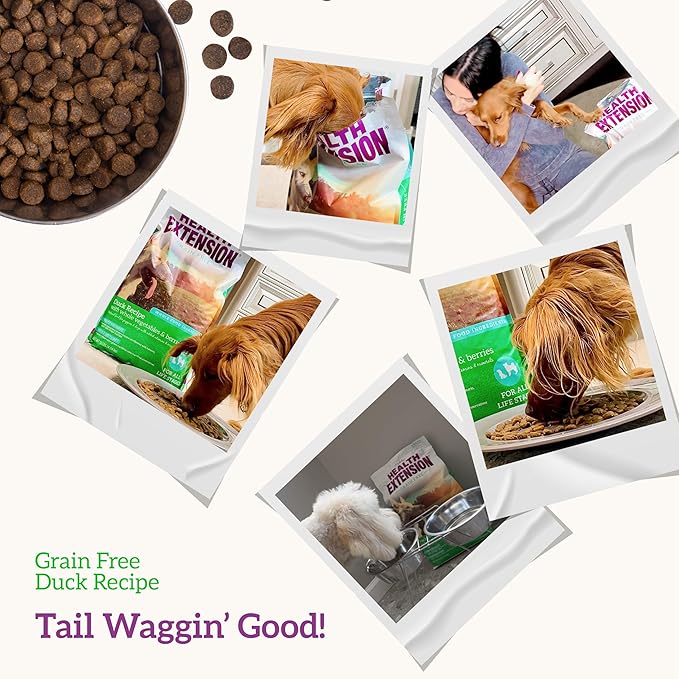 Health Extension Dry Dog Food, Natural Food with added Vitamins & Minerals, Suitable for All Puppies, Include Duck & Sweet Potato Recipe with Whole Vegetable & Berries (4 Pound)