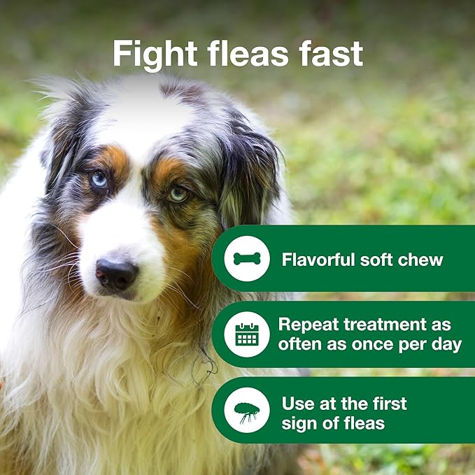 Dog Advantus Chewable Flea Treatment for Dogs 23 - 110 lbs. | 7 ct.