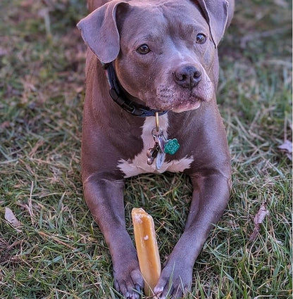 True Himalayan Yak Cheese Dog Chews Long Lasting Odor Free Dental Chews for Dogs, Natural Cheesy Dog Bones for Aggressive Chewers, Healthy Dog Treats (Large, 4, Count)