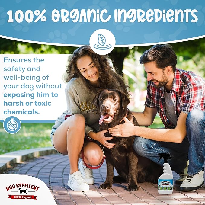 Organic Sprays - No Chew Spray for Dogs, Anti Chew Spray, Dog Potty Training Spray, Trains Your Pet Where Not to Urinate, Bitter Spray for Dogs, 24 oz