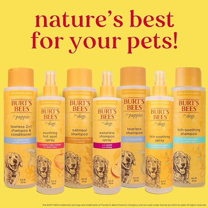 Burt's Bees for Pets Naturally Derived Itch Soothing Shampoo with Honeysuckle - Anti-Itch Dog Shampoo for All Dogs - Cruelty Free, Formulated without Sulfates and Parabens, Made in the USA, 16 Ounces
