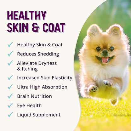 Health Extension Skin & Coat for Puppies and Dogs, 16-ounces