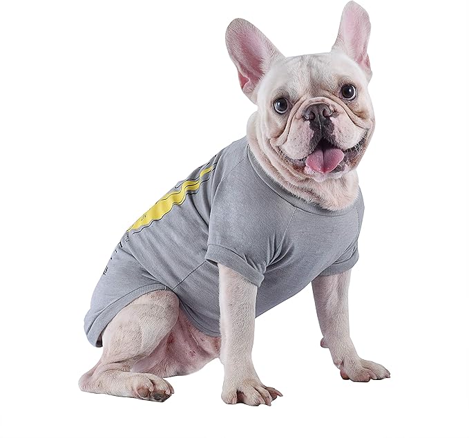 Star Wars for Pets "The force Is Strong With This One" Dog Tee | Star Wars Dog Shirt for Small Dogs | Size Small | Soft, Cute, and Comfortable Dog Clothing and Apparel