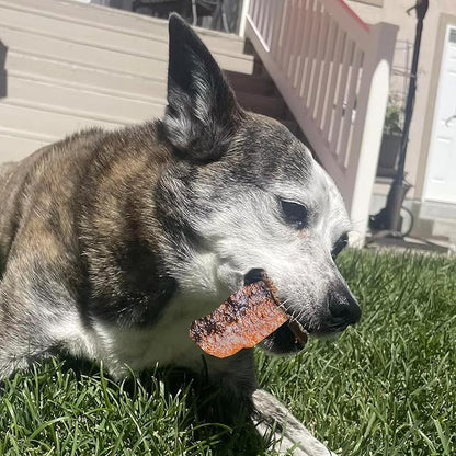 Pupford Salmon Jerky Treats for Dogs for Large & Small Dogs of All Ages | Made in USA, 100% Real Meat & No Fillers | Dogs Love These Tasty Dog Snacks (Salmon 4 oz)