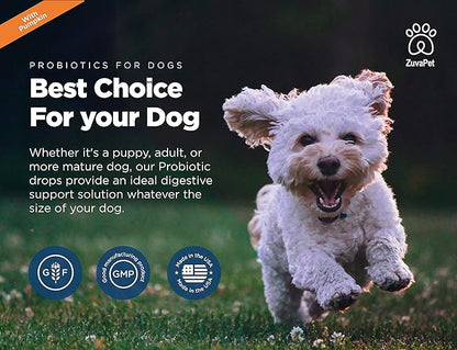 Probiotics for Dogs - Dog Probiotics for Diarrhea - Natural Digestive Enzymes for Upset Stomach Relief + Gas, Constipation Health & Itch Relief - Prebiotic Pet Supplies - 120 Servings