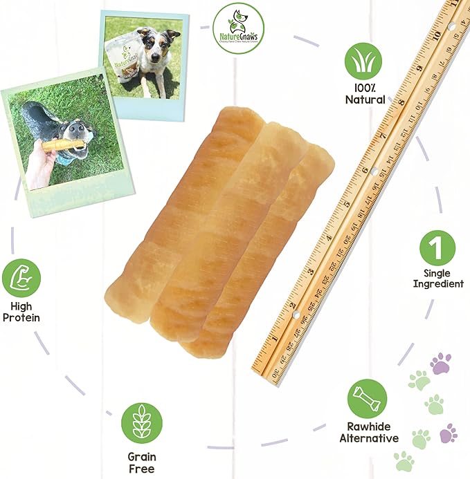 Nature Gnaws Pork Skin Chews for Dogs - Premium Natural Tasty Jerky Treats - Long Lasting Dog Chew Bones - Rawhide Free 6 Count (Pack of 1)