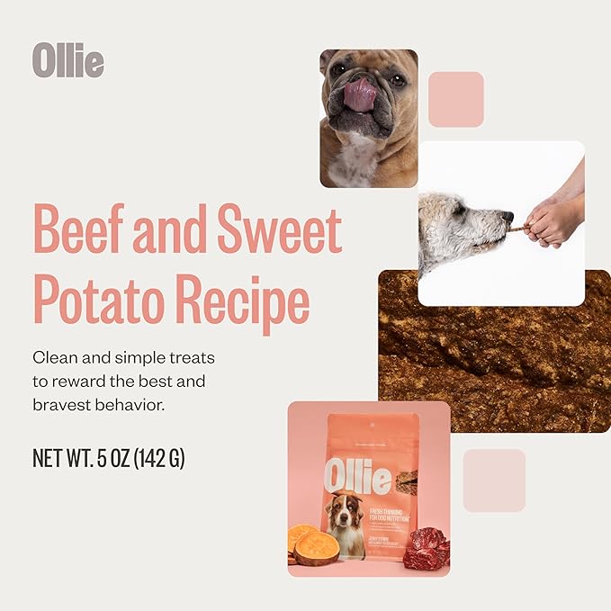 Ollie Beef and Sweet Potato Jerky Recipe Dog Treats - Dog Jerky Treats All Natural - Healthy Dog Treats - Beef Jerky for Dogs - Real Meat Dog Treats 5 Oz.