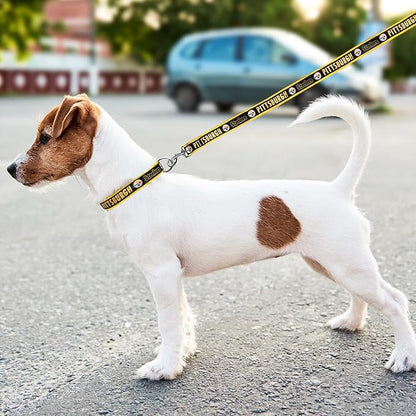 NFL PET Leash Pittsburgh Steelers Dog Leash, Small Football Team Leash for Dogs & Cats. A Shiny & Colorful Cat Leash & Dog Leash Licensed by The NFL