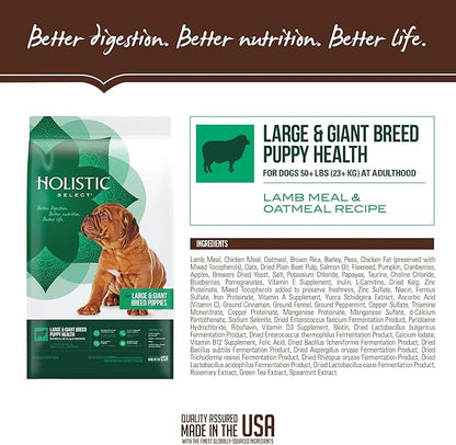 Holistic Select Natural Dry Dog Food, Large & Giant Breed Puppy Recipe, 30-Pound Bag