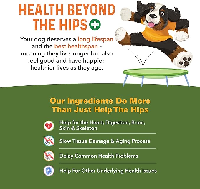 Bernie's Healthy Hips - Daily Dog Hip and Joint Supplement - 90 Soft Chews - Reduce Pain, Encourage Mobility, Slow Damage, Repair and Rebuild Hips and Joint Tissues