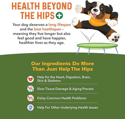 Bernie's Healthy Hips - Daily Dog Hip and Joint Supplement - 90 Soft Chews - Reduce Pain, Encourage Mobility, Slow Damage, Repair and Rebuild Hips and Joint Tissues