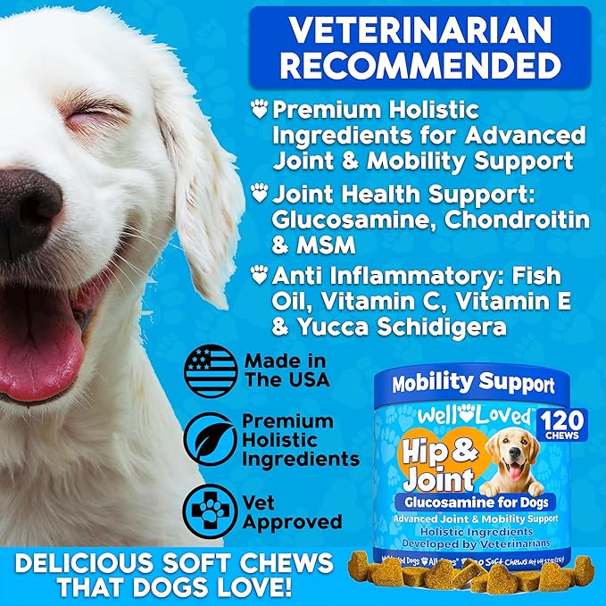 Glucosamine for Dogs - Joint Supplement for Dogs, Made in USA, Vet Developed, Dog Joint Supplement, Glucosamine Chondroitin for Dogs, Advanced Hip and Joint Chews with MSM, Pain Relief, 120